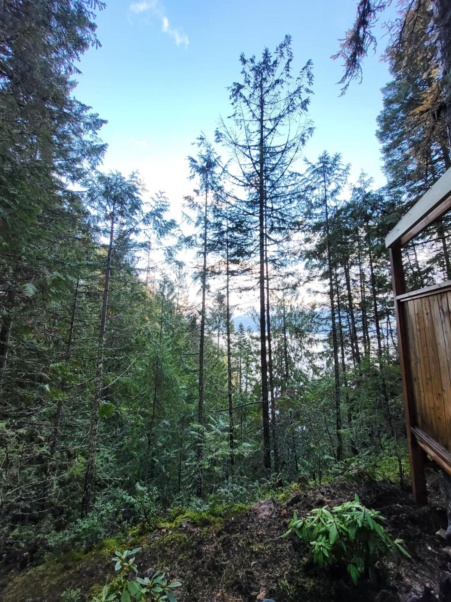 Forest Nook Queens Bay Esterno foto
